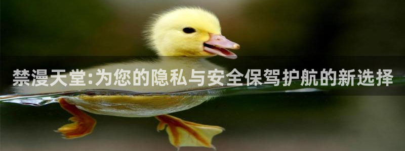 omofun.：禁漫天堂:为您的隐私与安全保驾护航的新选择