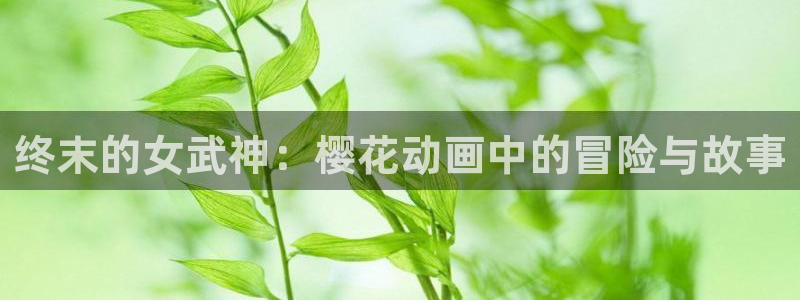 o站(omofun)官网：终末的女武神：樱花动画中的冒险与故事