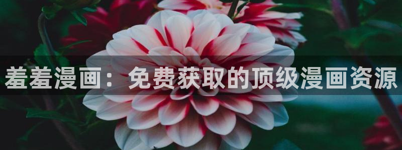 omofun弹幕网：羞羞漫画：免费获取的顶级漫画资源