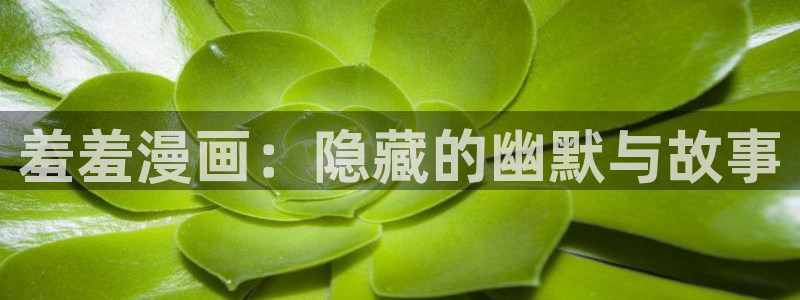 omofun在线观看：羞羞漫画：隐藏的幽默与故事