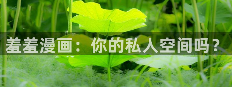 羞羞漫画安卓下载：羞羞漫画：你的私人空间吗？