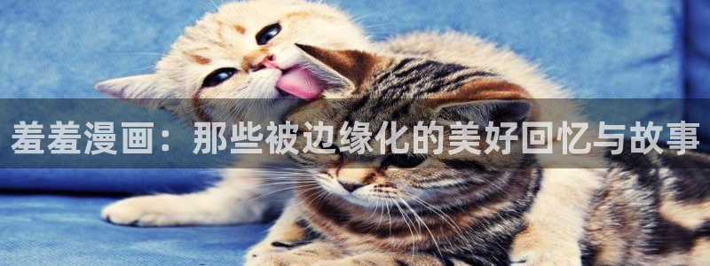 omofun完整版：羞羞漫画：那些被边缘化的美好回忆与故事