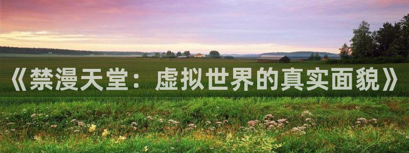 omofun动画：《禁漫天堂：虚拟世界的真实面貌》