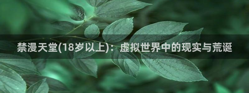 omofun.on：禁漫天堂(18岁以上)：虚拟世界中的现实与荒诞